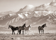 Load image into Gallery viewer, Valley of Dreams II"