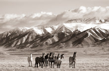 Load image into Gallery viewer, "Valley of Dreams I"