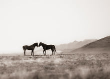 Load image into Gallery viewer, "East Meets West II"