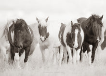 Load image into Gallery viewer, "Wild and Free"