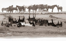 Load image into Gallery viewer, "Upside Down and Back to Front"