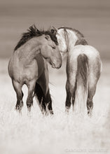 Load image into Gallery viewer, "Best Kept Secrets"