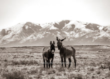 Load image into Gallery viewer, "Sundance Kids"