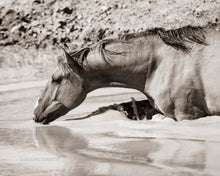 Load image into Gallery viewer, "Sip and Swim"