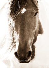 Load image into Gallery viewer, "Mirror" Fine Art Photo