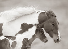 Load image into Gallery viewer, "Straight to the heart”