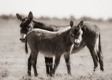 Load image into Gallery viewer, "Me and Momma"