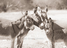 Load image into Gallery viewer, "Family"