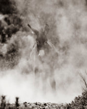 Load image into Gallery viewer, "Dusty"