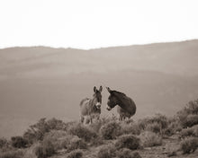Load image into Gallery viewer, "Over the Hills And Far Away" III