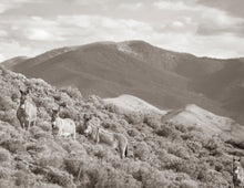 Load image into Gallery viewer, "Over the Hills And Far Away"