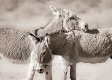 Load image into Gallery viewer, "Lean on Me"