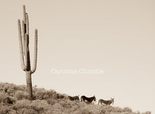 Load image into Gallery viewer, "Welcome To Arizona"Wild Burro Photograph.
