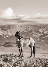 Load image into Gallery viewer, &quot;Mountain High&quot;
