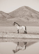 Load image into Gallery viewer, &quot;Mirror, Mirror&quot;
