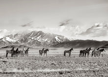 Load image into Gallery viewer, "Valley of Dreams "
