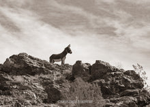 Load image into Gallery viewer, "Mountain Man II"
