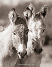 Load image into Gallery viewer, "Burro Besties II"
