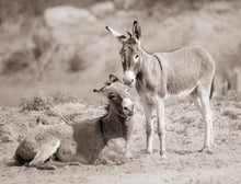 Load image into Gallery viewer, "Breaks Over"
