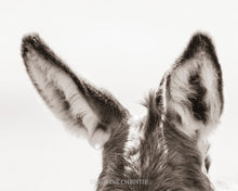 Load image into Gallery viewer, "Ears"
