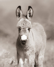 Load image into Gallery viewer, "First Hair Cut"
