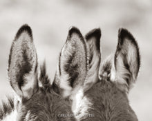 Load image into Gallery viewer, "All Ears"
