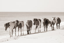 Load image into Gallery viewer, Hoof Prints In The Sand
