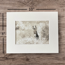 Load image into Gallery viewer, &quot;Bandits&quot;
