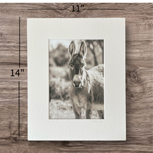 Load image into Gallery viewer, &quot;Bandits&quot;

