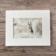 Load image into Gallery viewer, Hoof Prints In The Sand
