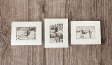Load image into Gallery viewer, &quot;Bandits&quot;
