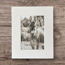 Load image into Gallery viewer, Hoof Prints In The Sand
