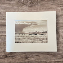 Load image into Gallery viewer, &quot;Wild Hearts&quot;
