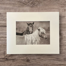 Load image into Gallery viewer, &quot;Wild and Free&quot;
