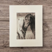 Load image into Gallery viewer, &quot;Windswept and Wild&quot; Wild Horse Photo

