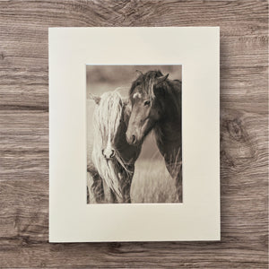 "Windswept and Wild" Wild Horse Photo