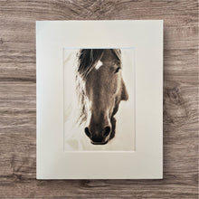 Load image into Gallery viewer, &quot;Best Kept Secrets&quot;
