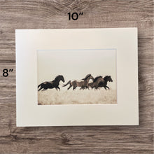 Load image into Gallery viewer, &quot;Valley Girl III&quot;     Wild Horse Photograph.
