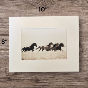 "Valley Girl III"     Wild Horse Photograph.