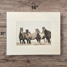 Load image into Gallery viewer, &quot;Valley Girl III&quot;     Wild Horse Photograph.
