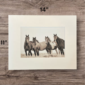 "Valley Girl III"     Wild Horse Photograph.