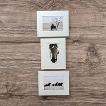 Load image into Gallery viewer, &quot;The Black Stallion&quot;
