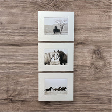 Load image into Gallery viewer, &quot;Valley Girl III&quot;     Wild Horse Photograph.

