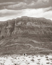 Load image into Gallery viewer, "Vermillion Cliffs"
