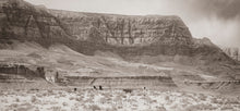 Load image into Gallery viewer, "The Wild Cliffs of Vermillion"
