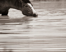 Load image into Gallery viewer, "Zen Hydration"
