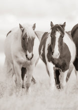 Load image into Gallery viewer, &quot;Wild Hearts&quot;
