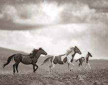 Load image into Gallery viewer, &quot;Hoofbeats and Happiness&quot;
