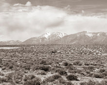 Load image into Gallery viewer, "Burroville, USA"
