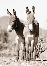 Load image into Gallery viewer, &quot;Double Trouble&quot;

